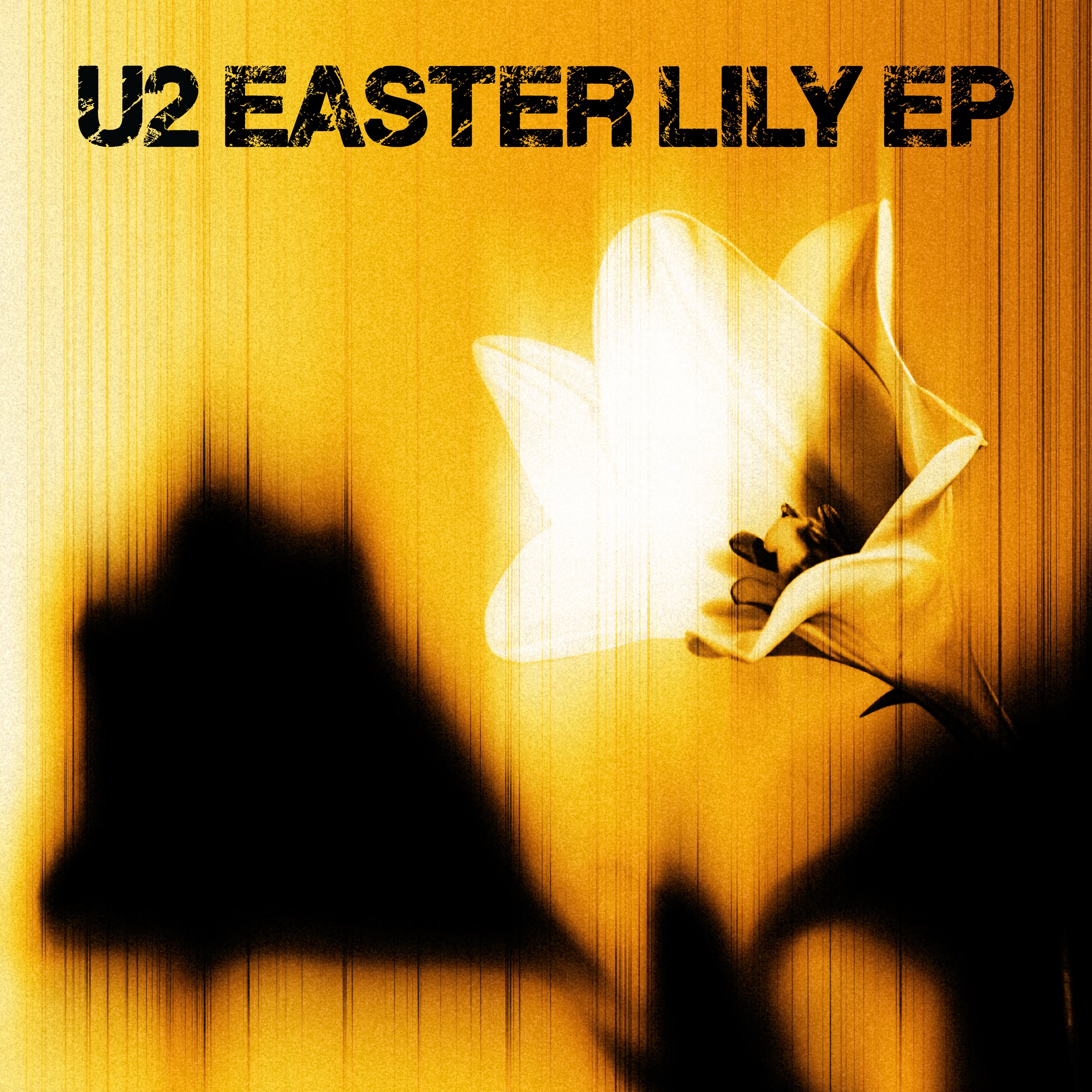 U2 — Easter Lily
